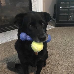 Meet your Posher, Jennifer